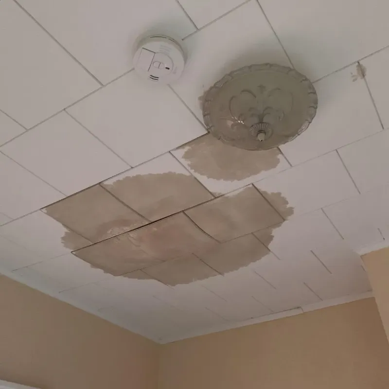 Ceiling Water Damage Repair in Cottonwood, MN